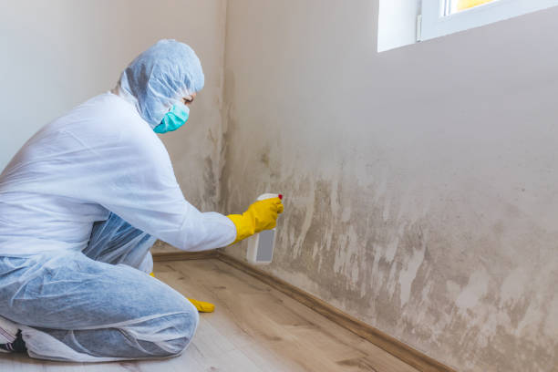 Mold Remediation specialist working in Westfield